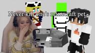 Image via PurrPaws, youtube